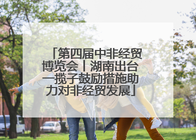 第四届中非经贸博览会丨湖南出台一揽子鼓励措施助力对非经贸发展