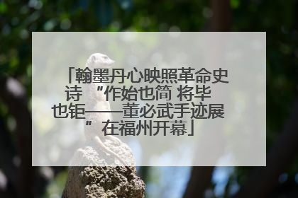 翰墨丹心映照革命史诗 “作始也简 将毕也钜——董必武手迹展”在福州开幕