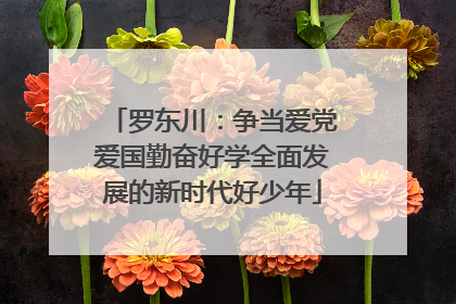 罗东川：争当爱党爱国勤奋好学全面发展的新时代好少年