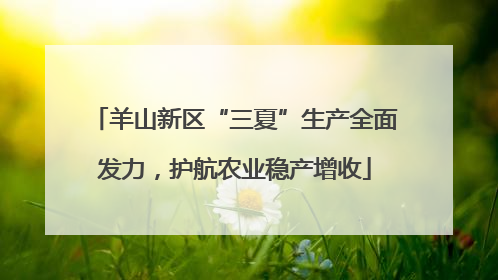 羊山新区“三夏”生产全面发力，护航农业稳产增收