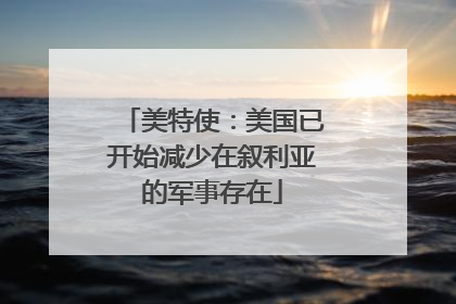 美特使：美国已开始减少在叙利亚的军事存在