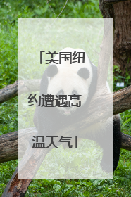 美国纽约遭遇高温天气