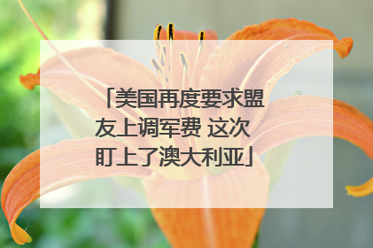 美国再度要求盟友上调军费 这次盯上了澳大利亚