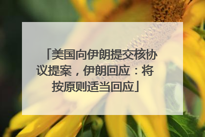 美国向伊朗提交核协议提案，伊朗回应：将按原则适当回应