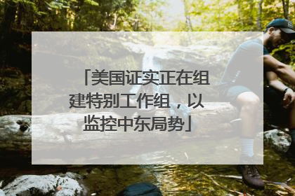 美国证实正在组建特别工作组，以监控中东局势