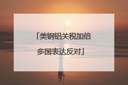 美钢铝关税加倍 多国表达反对