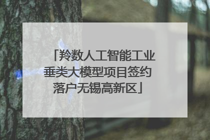 羚数人工智能工业垂类大模型项目签约落户无锡高新区