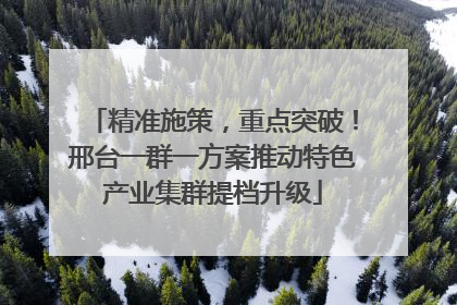 精准施策，重点突破！邢台一群一方案推动特色产业集群提档升级
