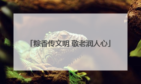 粽香传文明 敬老润人心
