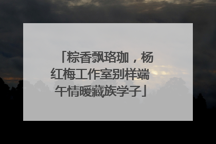 粽香飘珞珈，杨红梅工作室别样端午情暖藏族学子