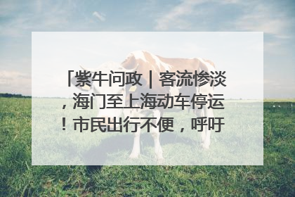紫牛问政｜客流惨淡，海门至上海动车停运！市民出行不便，呼吁铁路部门恢复班次