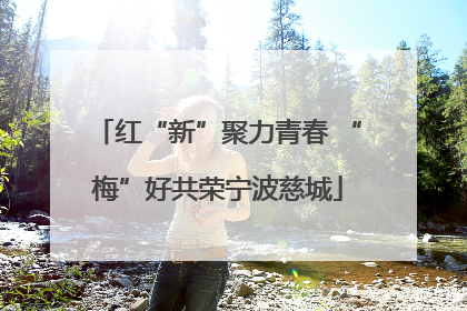 红“新”聚力青春 “梅”好共荣宁波慈城