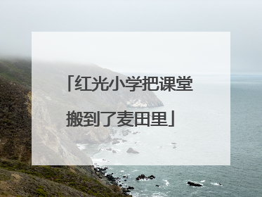 红光小学把课堂搬到了麦田里