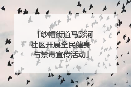纱帽街道马影河社区开展全民健身与禁毒宣传活动