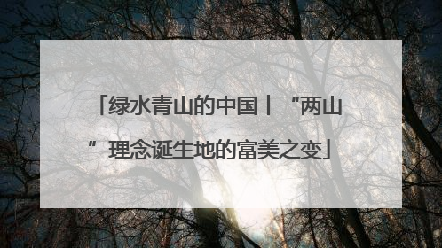 绿水青山的中国丨“两山”理念诞生地的富美之变