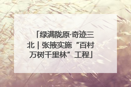 绿满陇原·奇迹三北｜张掖实施“百村万树千里林”工程