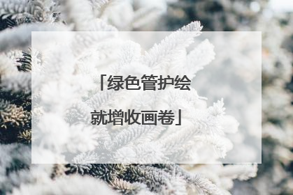 绿色管护绘就增收画卷