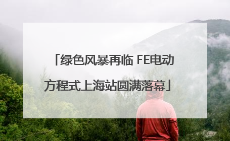 绿色风暴再临 FE电动方程式上海站圆满落幕