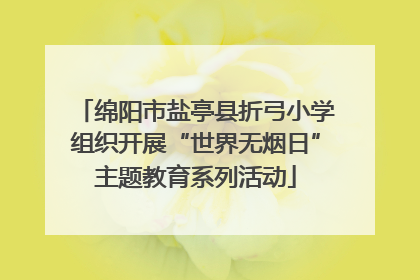 绵阳市盐亭县折弓小学组织开展“世界无烟日”主题教育系列活动