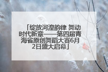 绽放河湟韵律 舞动时代新章——第四届青海省原创舞蹈大赛6月2日盛大启幕