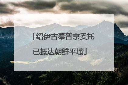 绍伊古奉普京委托已抵达朝鲜平壤