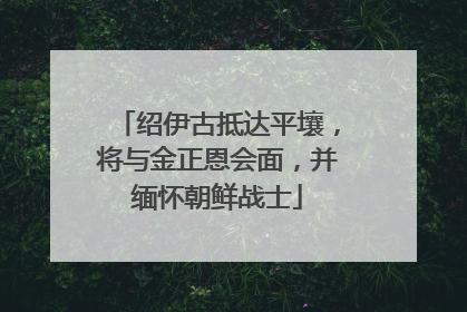 绍伊古抵达平壤，将与金正恩会面，并缅怀朝鲜战士