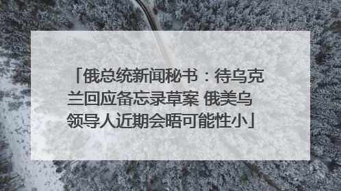 俄总统新闻秘书：待乌克兰回应备忘录草案 俄美乌领导人近期会晤可能性小