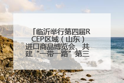 临沂举行第四届RCEP区域（山东）进口商品博览会、共建“一带一路”第三届临沂商城国际采购商大会新闻发布会