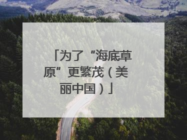 为了“海底草原”更繁茂（美丽中国）