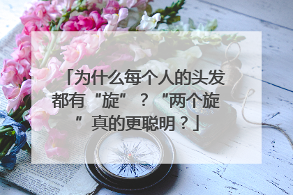 为什么每个人的头发都有“旋”？“两个旋”真的更聪明？