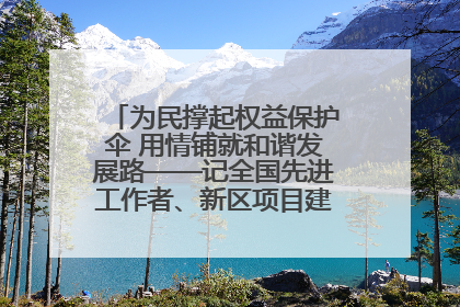 为民撑起权益保护伞 用情铺就和谐发展路——记全国先进工作者、新区项目建设中心干部卢小勇