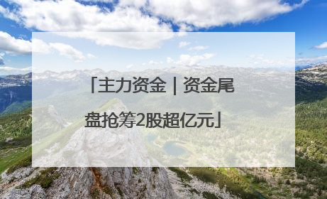 主力资金｜资金尾盘抢筹2股超亿元