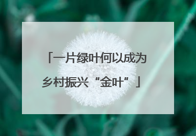 一片绿叶何以成为乡村振兴“金叶”