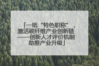 一纸“特色职称”，激活碳纤维产业创新链——创新人才评价机制 助推产业升级