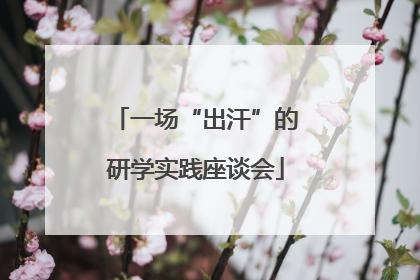 一场“出汗”的研学实践座谈会