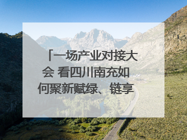 一场产业对接大会 看四川南充如何聚新赋绿、链享未来｜打赢经济发展翻身仗
