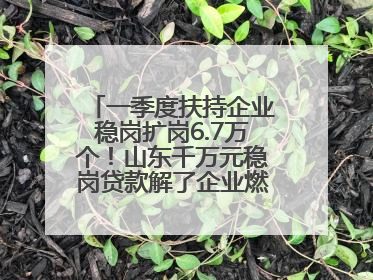 一季度扶持企业稳岗扩岗6.7万个！山东千万元稳岗贷款解了企业燃眉之急