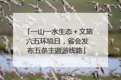 一山一水生态＋文旅 六五环境日，省会发布五条主题游线路