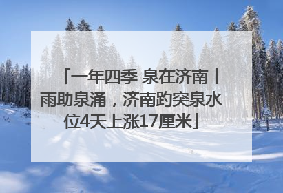 一年四季 泉在济南丨雨助泉涌，济南趵突泉水位4天上涨17厘米