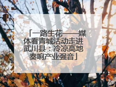 一路生花——媒体看青城活动走进武川县：冷凉高地奏响产业强音