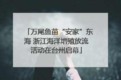 万尾鱼苗“安家”东海 浙江海洋增殖放流活动在台州启幕