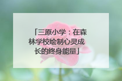 三原小学：在森林学校绘制心灵成长的终身能量