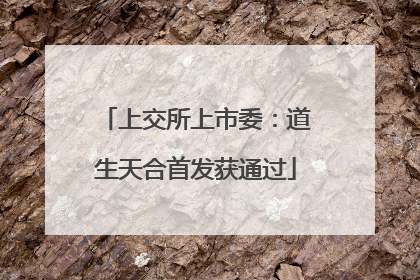 上交所上市委：道生天合首发获通过