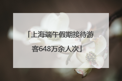上海端午假期接待游客648万余人次