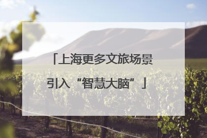 上海更多文旅场景引入“智慧大脑”