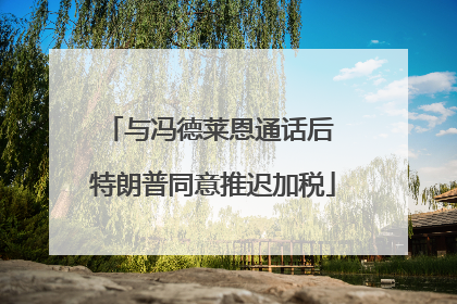 与冯德莱恩通话后 特朗普同意推迟加税