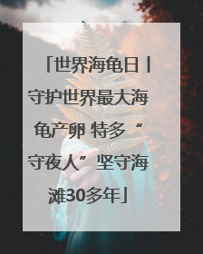 世界海龟日丨守护世界最大海龟产卵 特多“守夜人”坚守海滩30多年