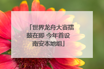 世界龙舟大赛擂鼓在即 今年首设南安本地组