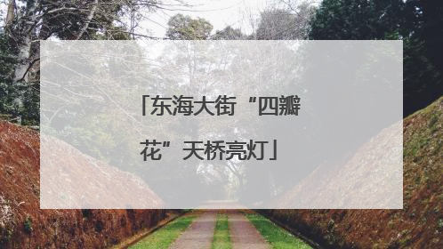 东海大街“四瓣花”天桥亮灯