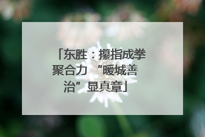 东胜：攥指成拳聚合力 “暖城善治”显真章